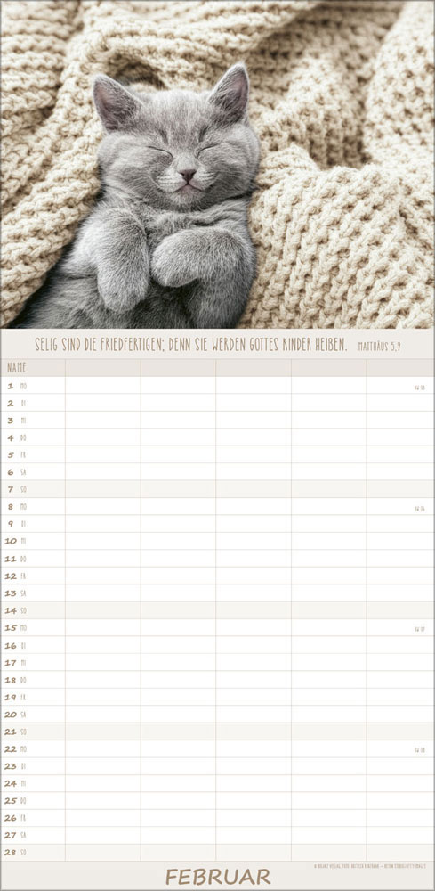 Familienplaner Katzen - 2027
