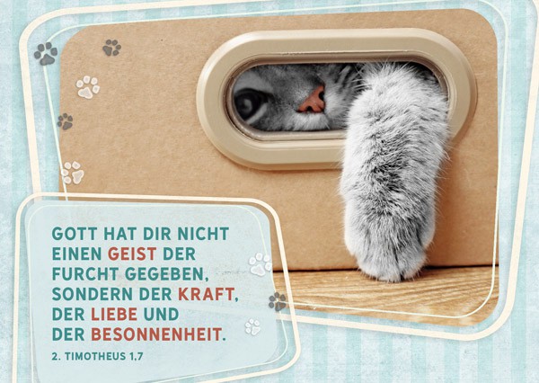 15-9192 Postkarte "Liebe und Besonnenheit"
