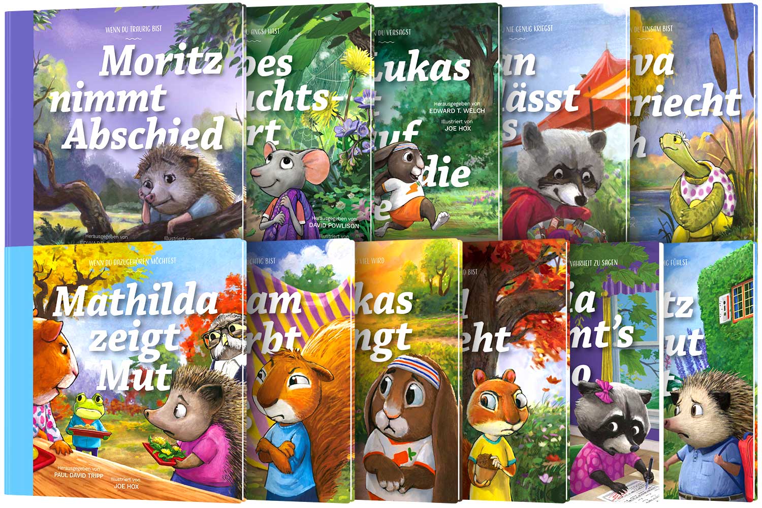 Wiesental-Serie - Paket (1-11)