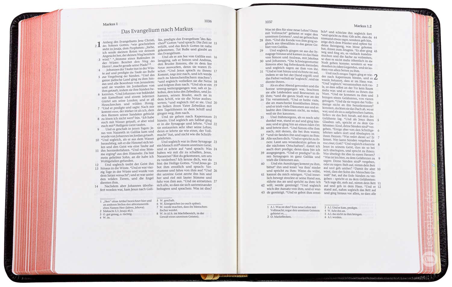 Elberfelder 2003 - gr.Schreibrandausgabe / Leder dunkelbraun Rotgoldschnitt