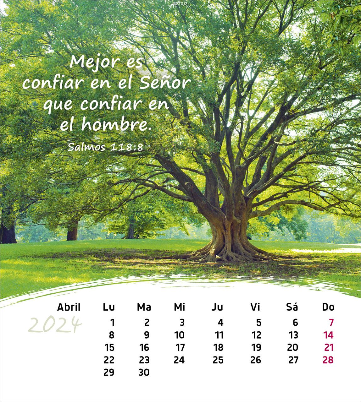 Leben für Dich 2024 - Postkartenkalender Leben für Dich 2024 - Postkartenkalender