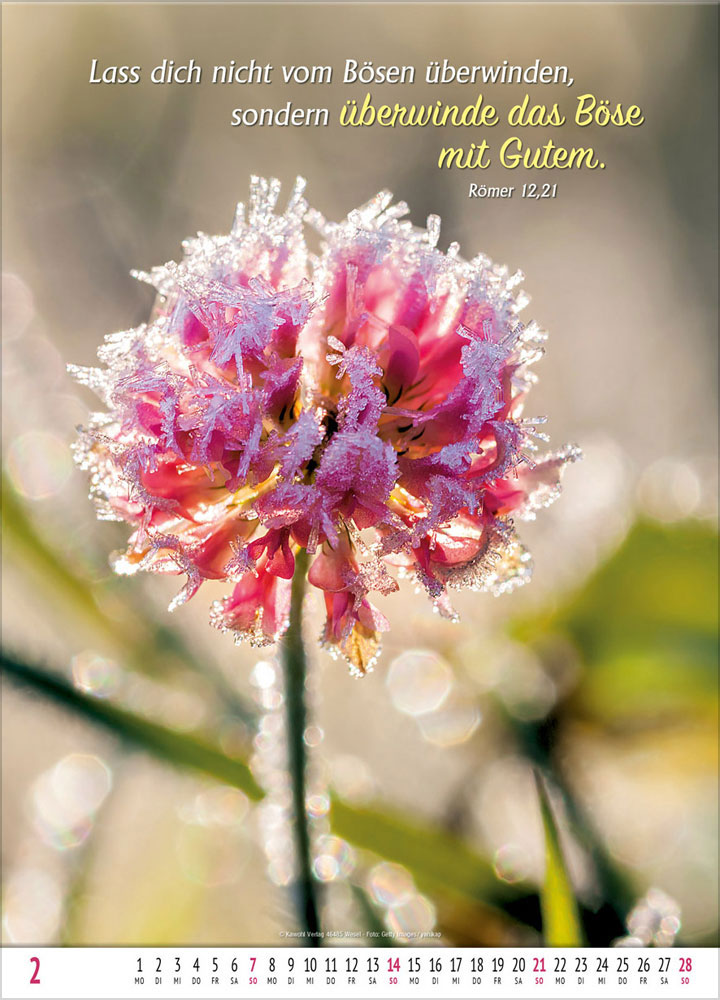 Gottes Wort - Licht auf dem Weg 2027 - Wandkalender