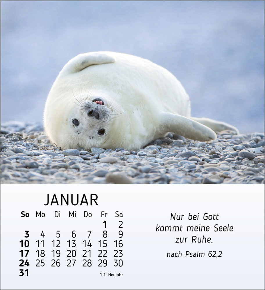 Meine kleinen Freunde 2027