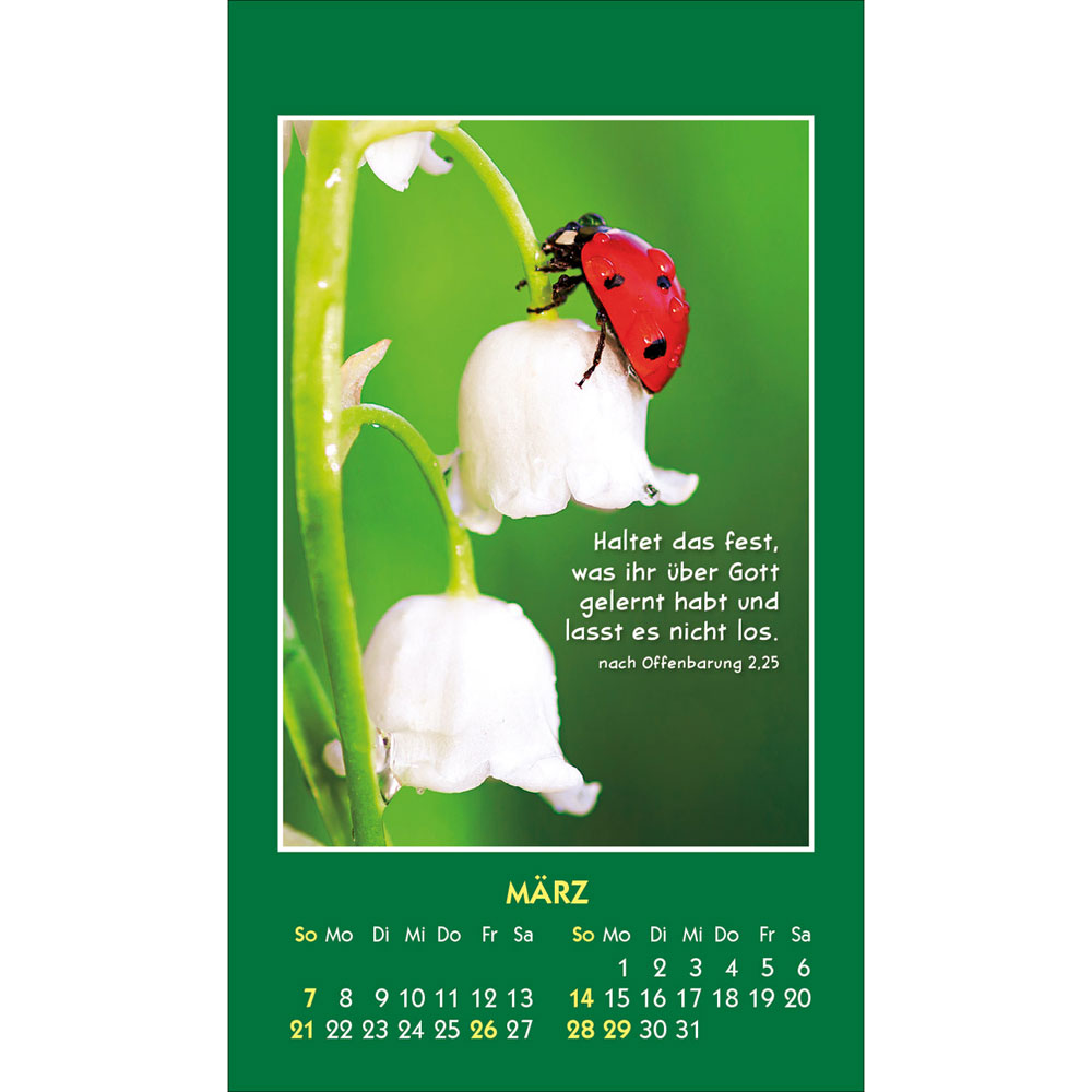 Hallo Du 2027 - Aufkleber-Kalender