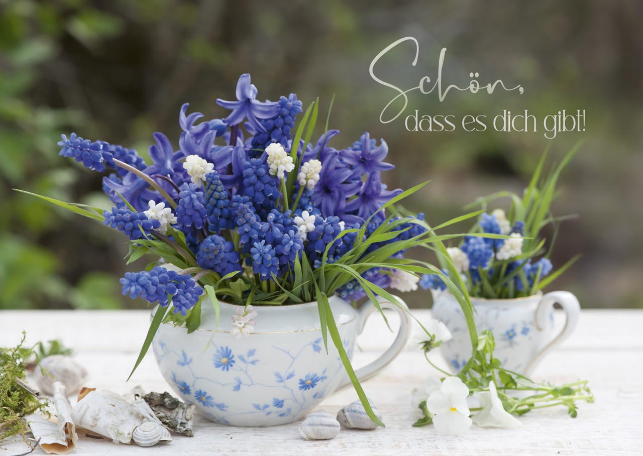 Postkartenbox "Wir feiern im Garten"