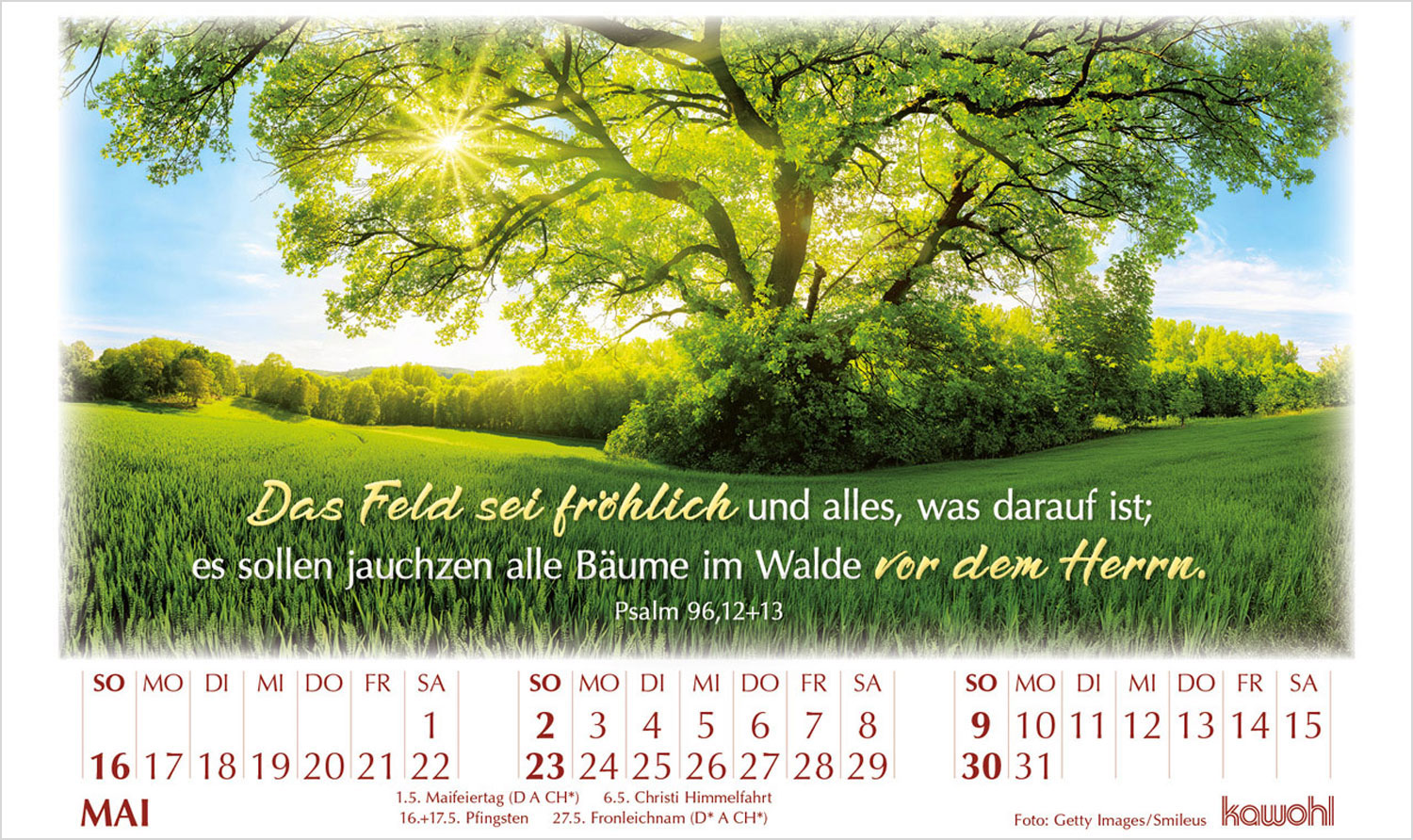 In seinem Licht 2027