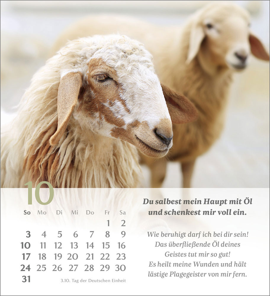 Psalm 23 - Tischkalender 2027