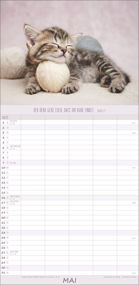 Familienplaner Katzen - 2027