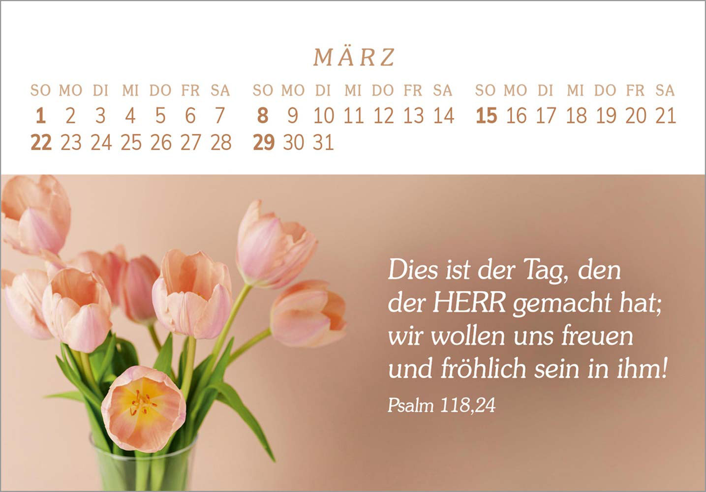 Das Geschenk der Freude 2026