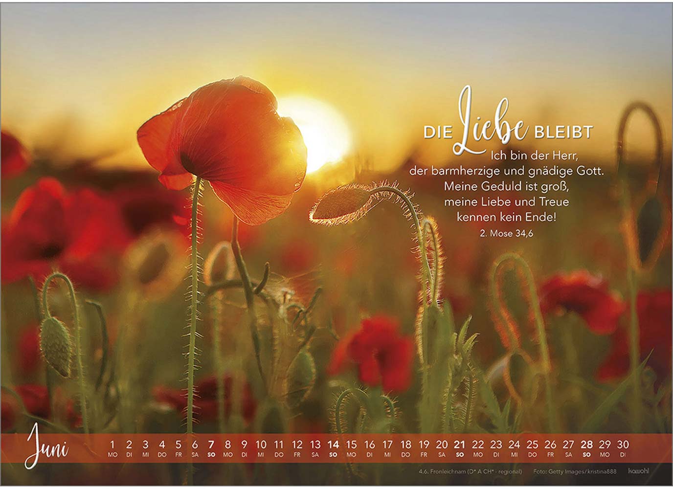 Die Liebe bleibt 2026 - Wandkalender