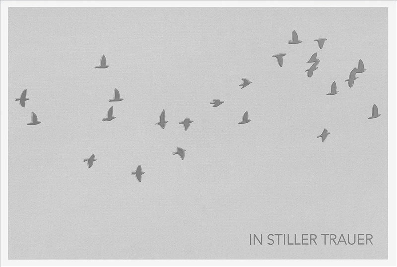 179716807 Doppelkarte "Silberne Vögel"