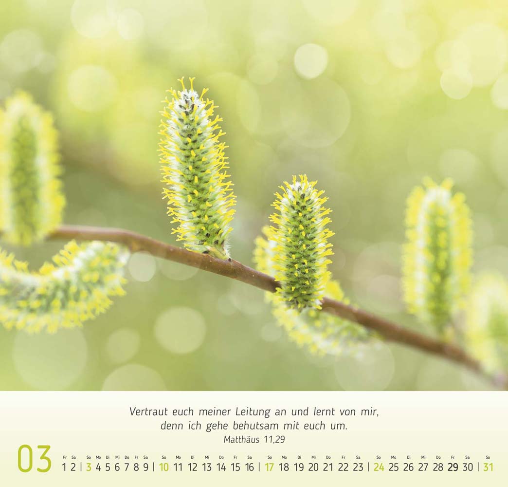 Gesichter der Natur 2024 Gesichter der Natur 2024