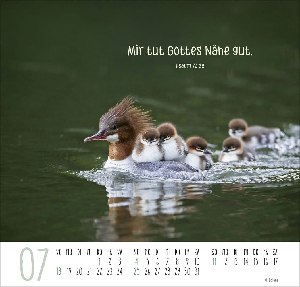 Beste Freunde - Ich mag dich  2027 - Posterkalender