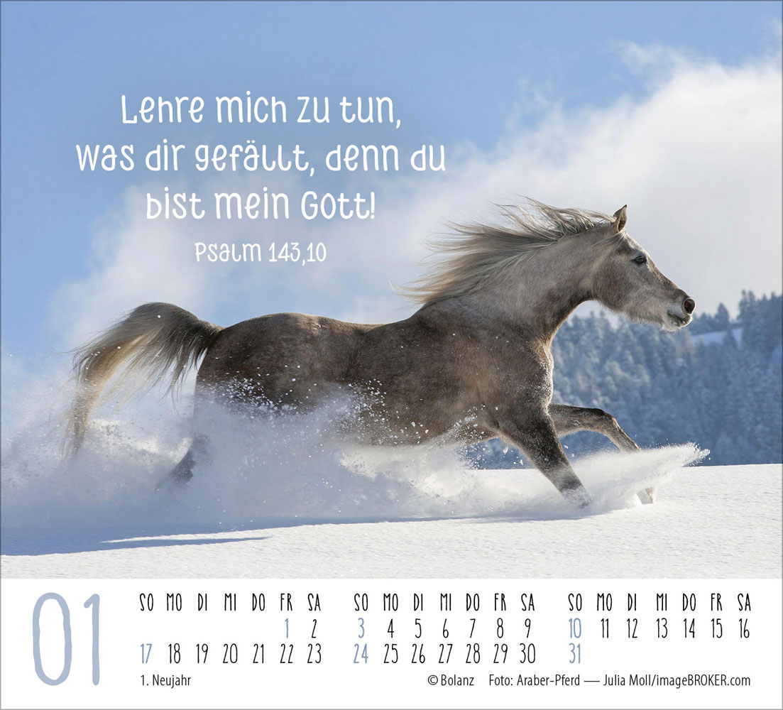 Pferde 2027 - Minikalender