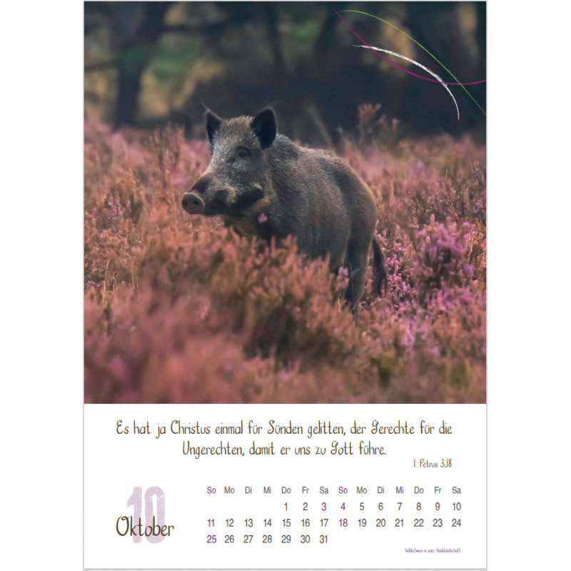 Natur 2026 - Fotokalender