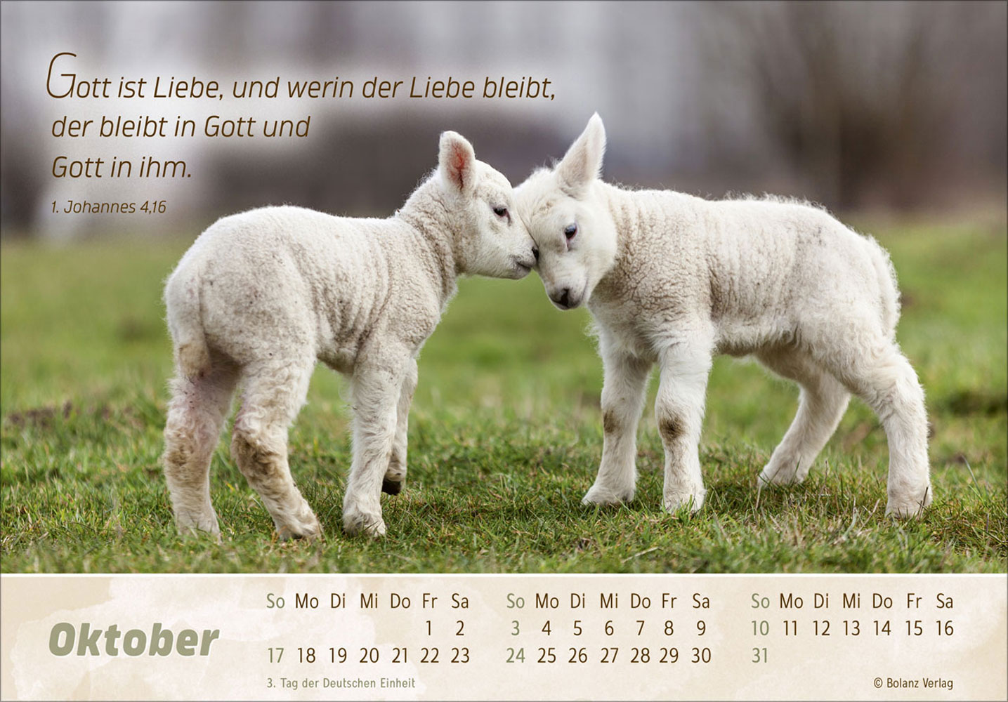 Der Gute Hirte 2027 - Postkartenkalender