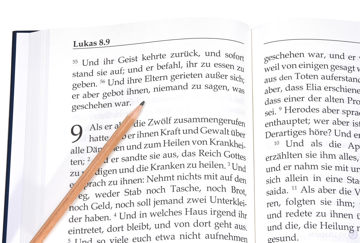 Elberfelder 2003 -  Das Neue Testament in Großdruck (2 Bände)