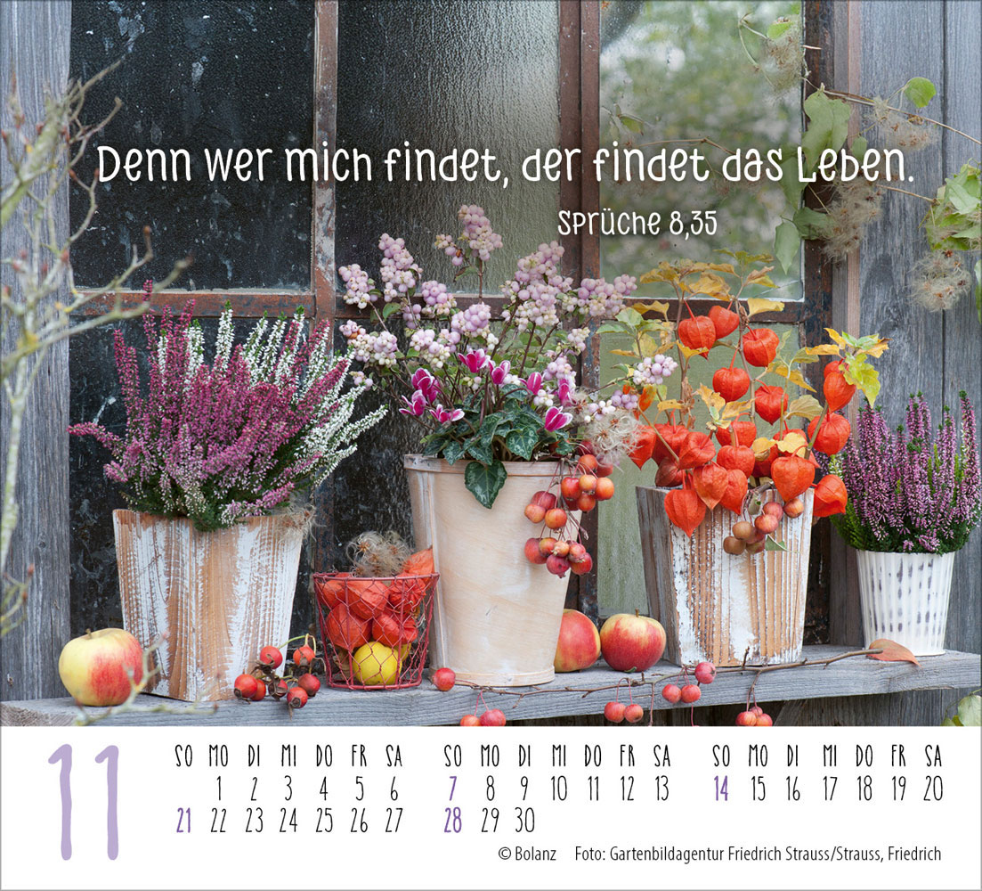 Harmonien für die Seele 2027 - Minikalender