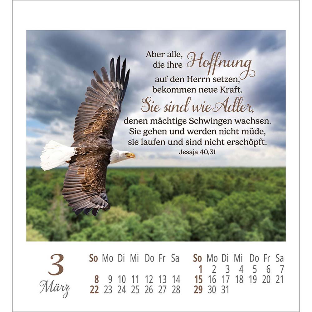 Lieblingsworte umgeben dich 2026 - Aufkleber-Kalender