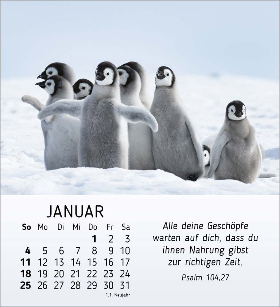 Meine kleinen Freunde 2026