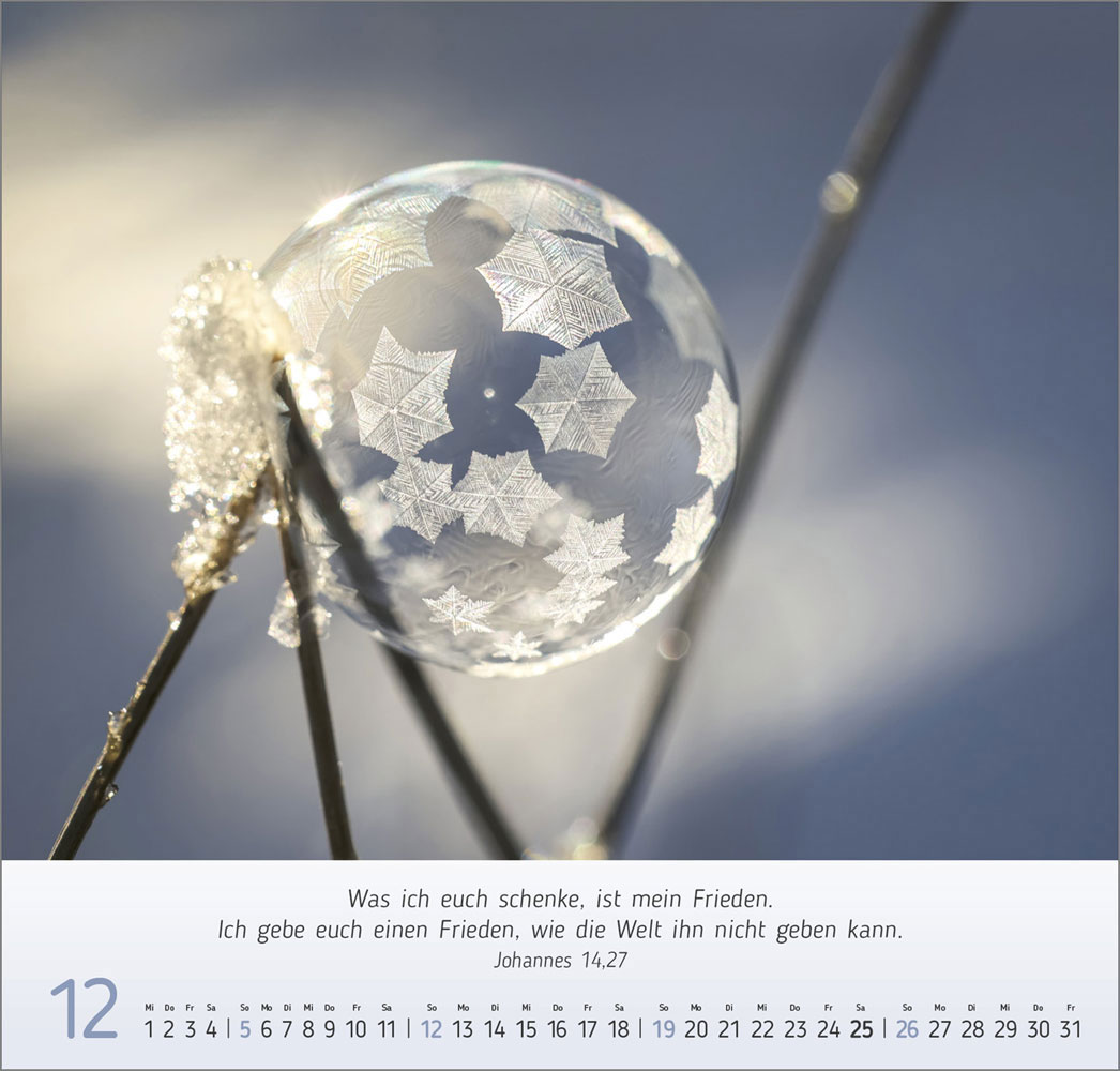 Gesichter der Natur 2027