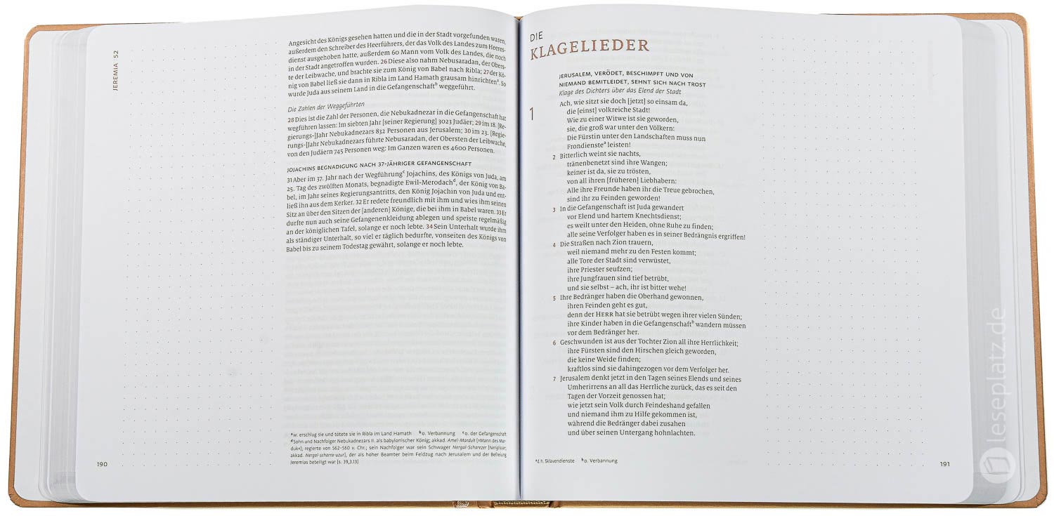 Menge 2020 - Altes Testament Journaling "Prediger bis Maleachi"