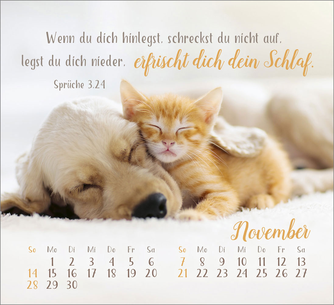 Sei gesegnet 2027