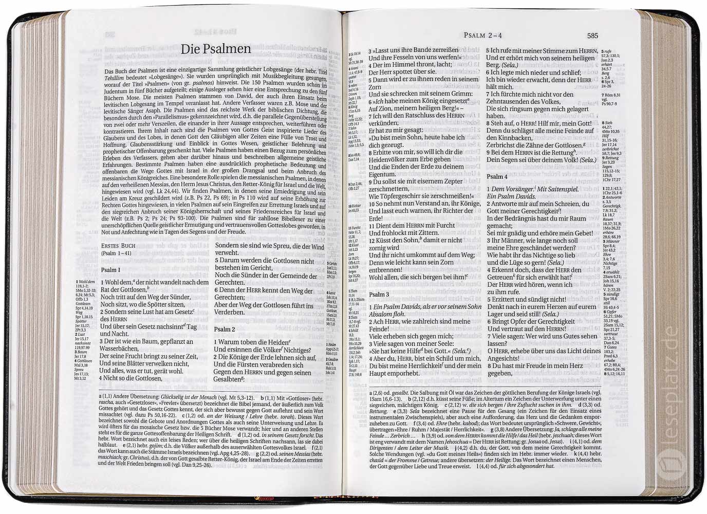 Schlachter 2000 Taschenausgabe - flex.Rindleder schwarz / Goldschnitt