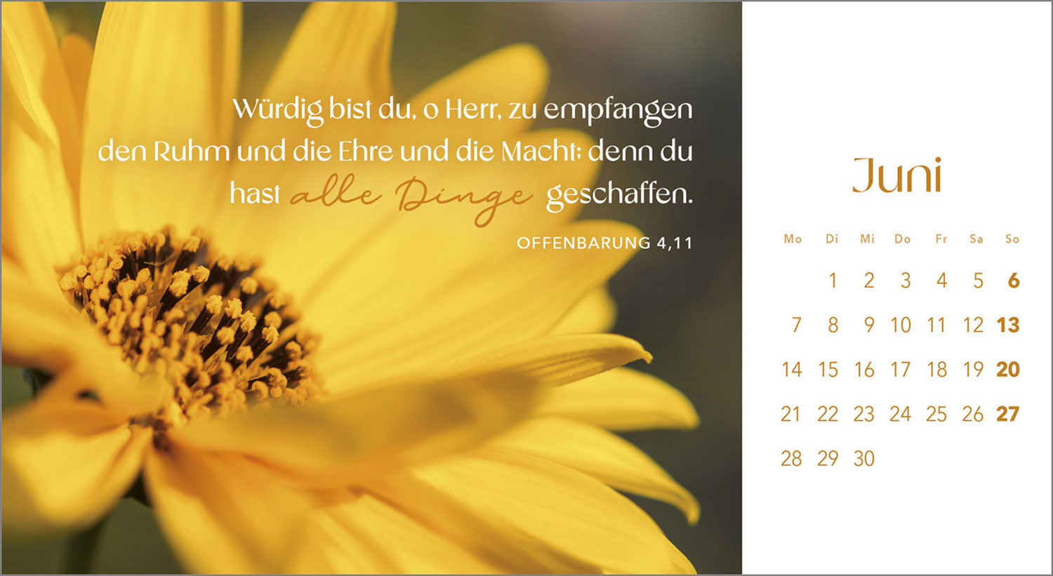 Augenblicke der Anbetung 2027
