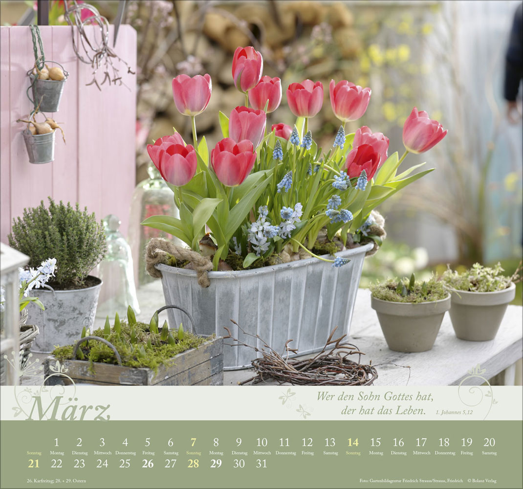 Im Garten zuhause 2027 - Wandkalender