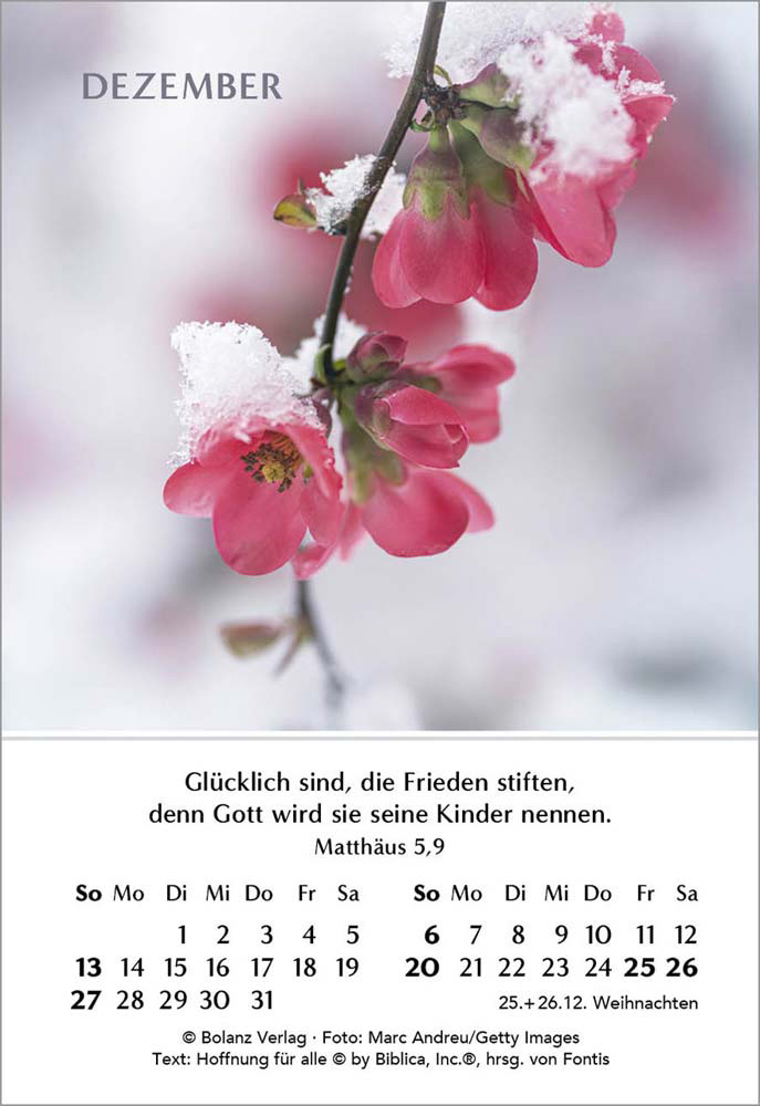 Ein Jahr der Freude 2026