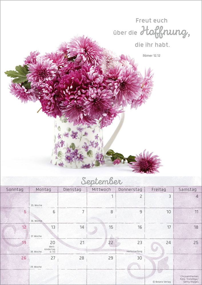 Momente der Freude 2027 - Wandkalender