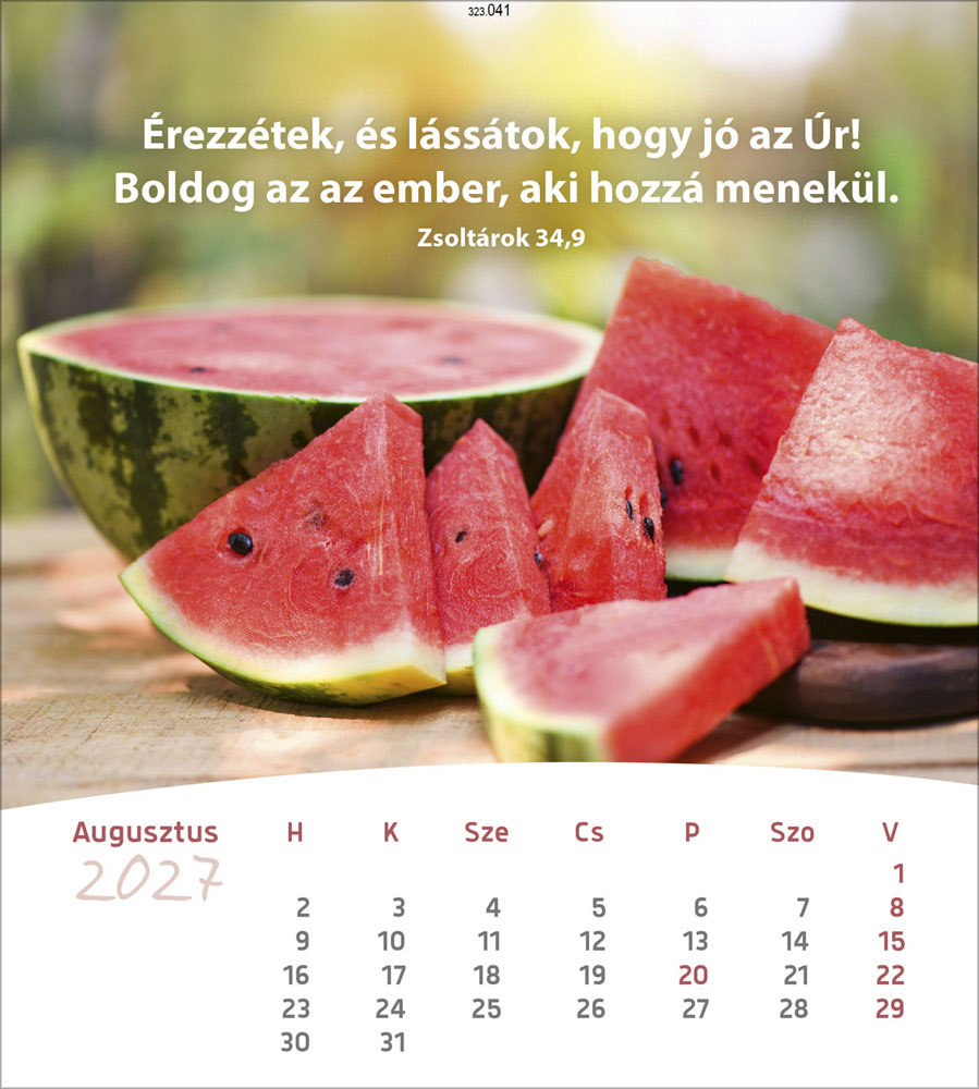 Leben für Dich 2027 - Verteilkalender (Ungarisch)