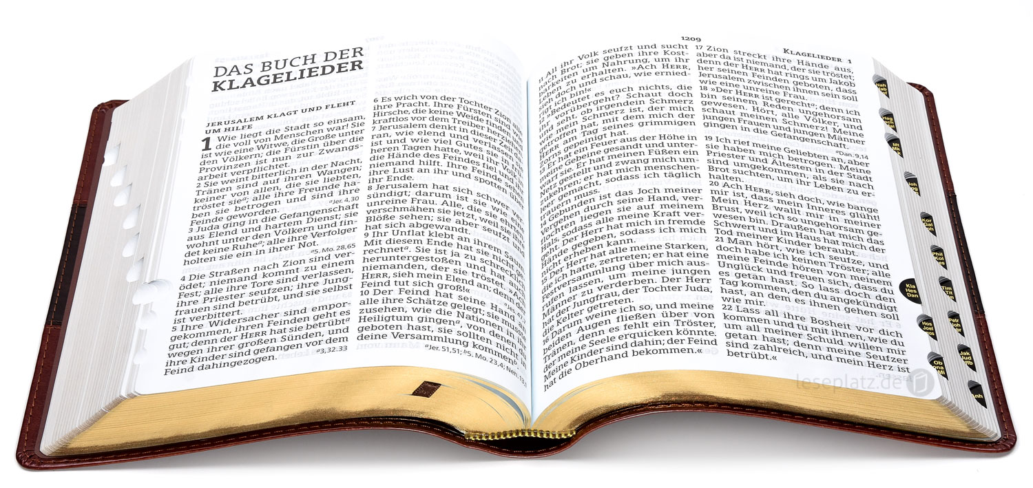 161115_06 Luther21 - Großdruckausgabe - Kunstleder braun/schwarz/braun