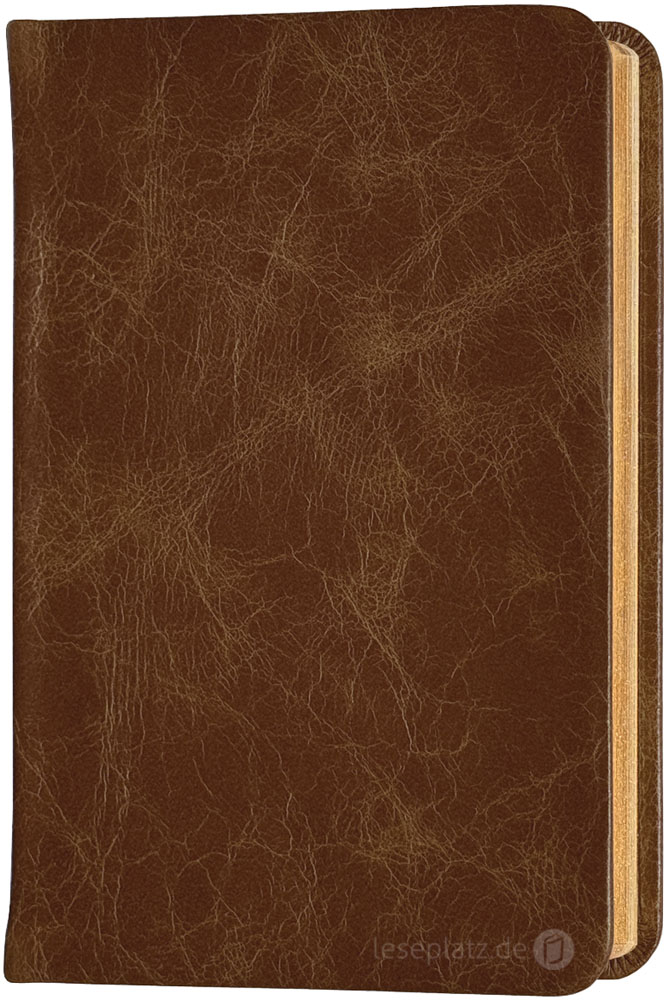 Elberfelder 2003 - Pocketausgabe / Rindleder Unique Toffee braun / Goldschnitt