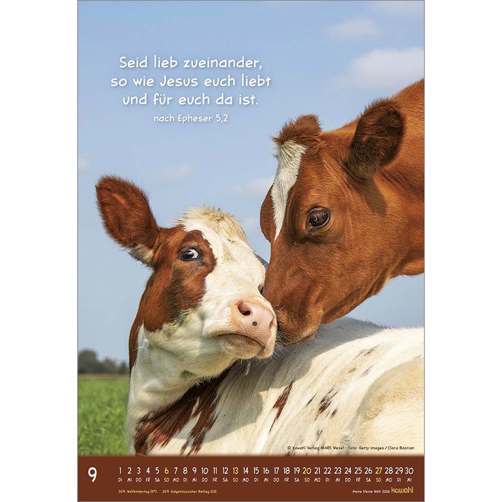 Meine kleine Welt 2026 - Wandkalender
