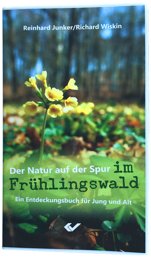 Der Natur auf der Spur im Frühlingswald