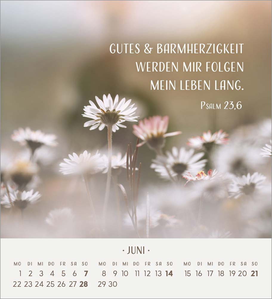 Zarte Blumengrüße 2026 - Tischkalender