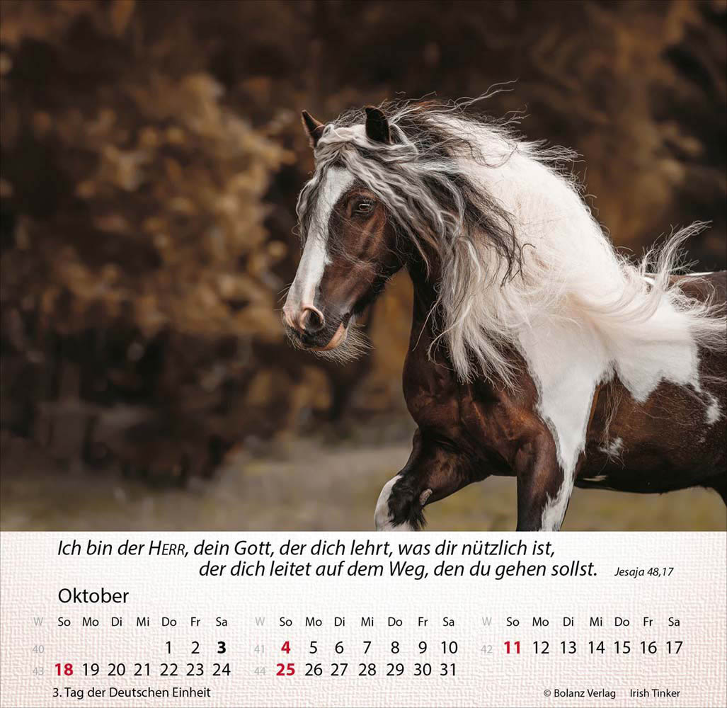 Pferde 2026 - Tischkalender