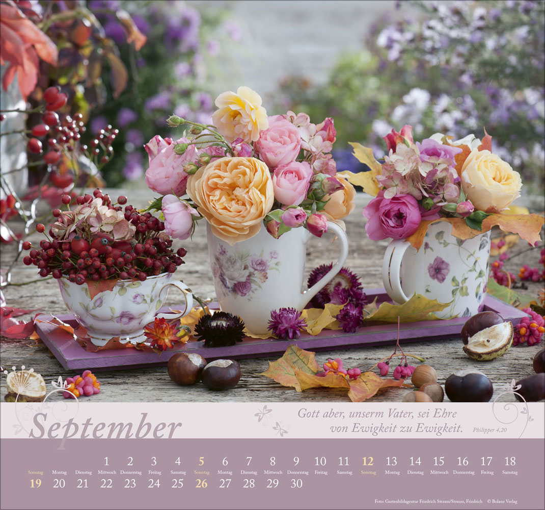 Im Garten zuhause 2027 - Wandkalender