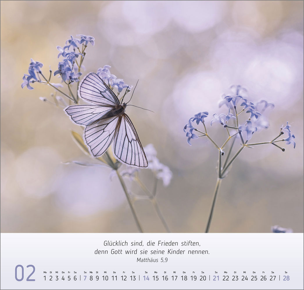 Gesichter der Natur 2027