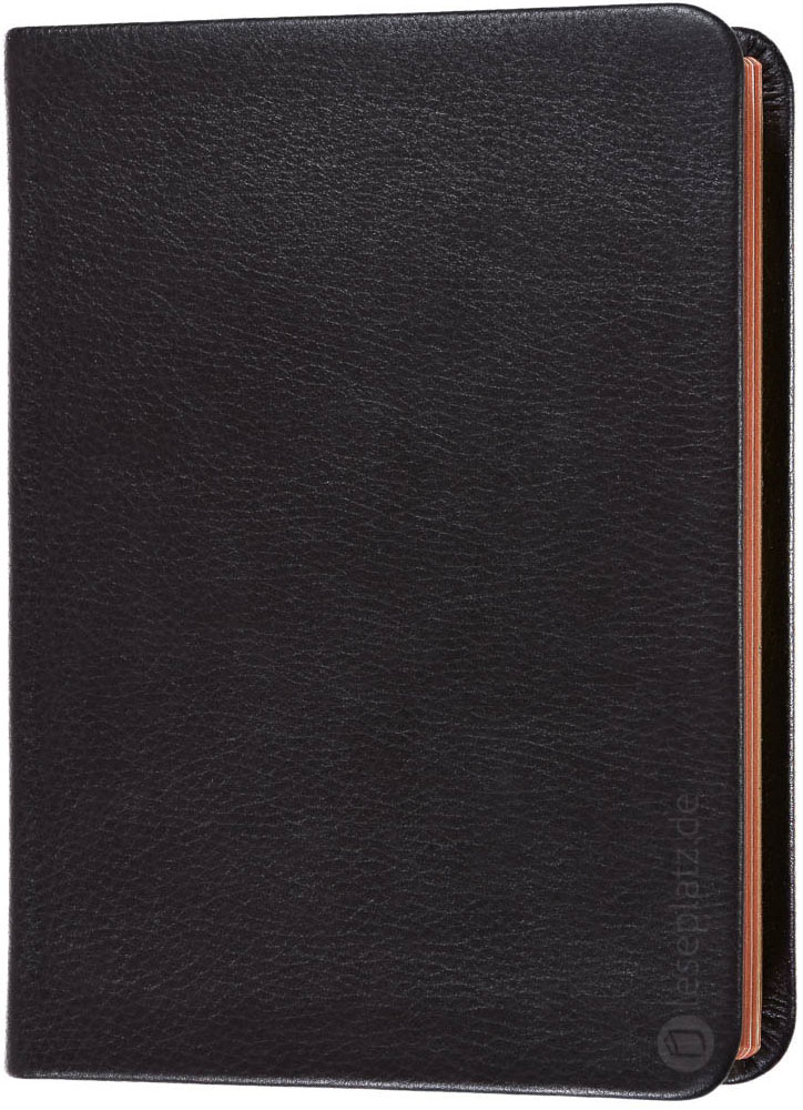 Elberfelder 2003 - gr.Schreibrandausgabe / Leder dunkelbraun Rotgoldschnitt