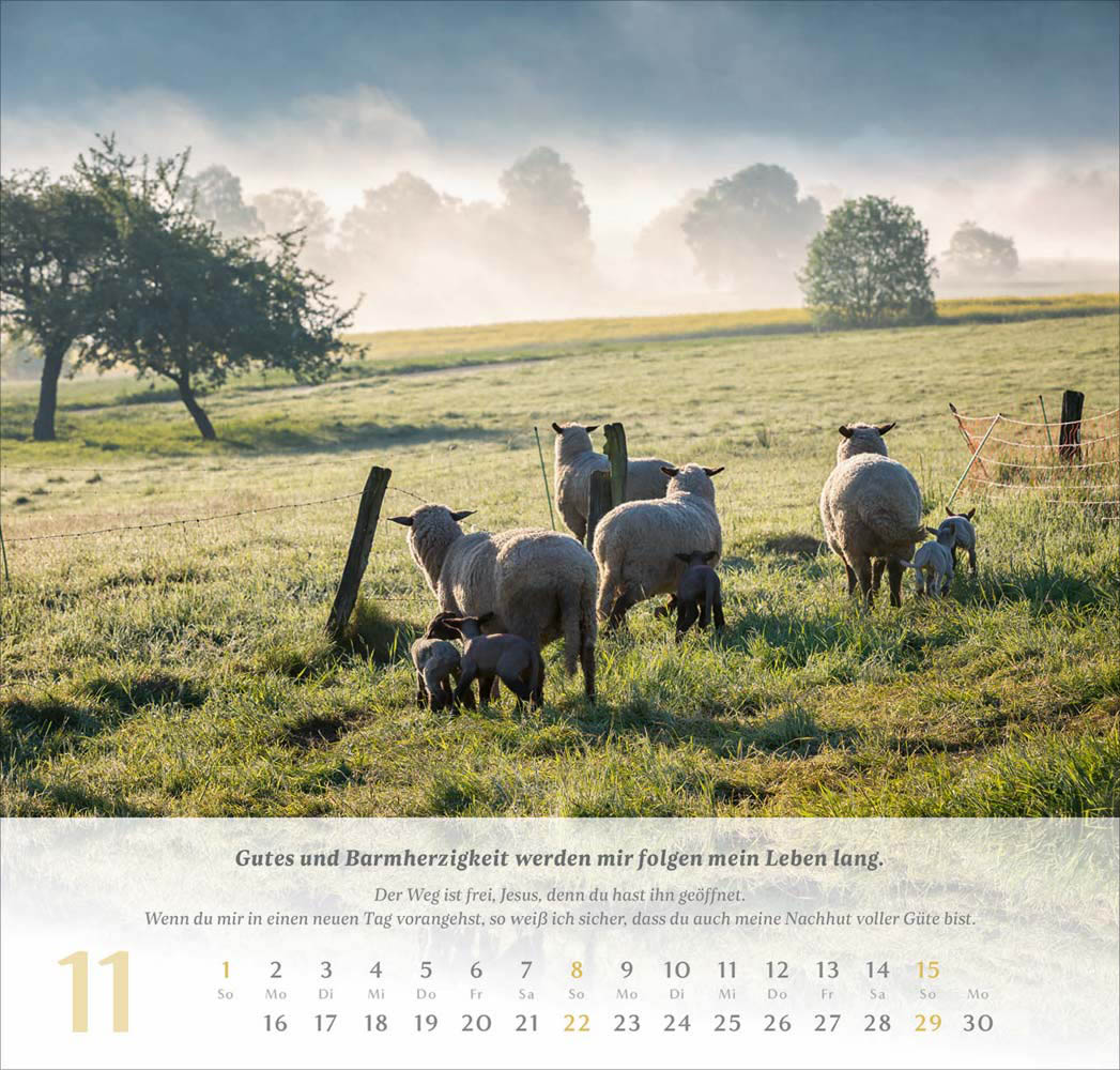 Psalm 23 - Wandkalender 2026