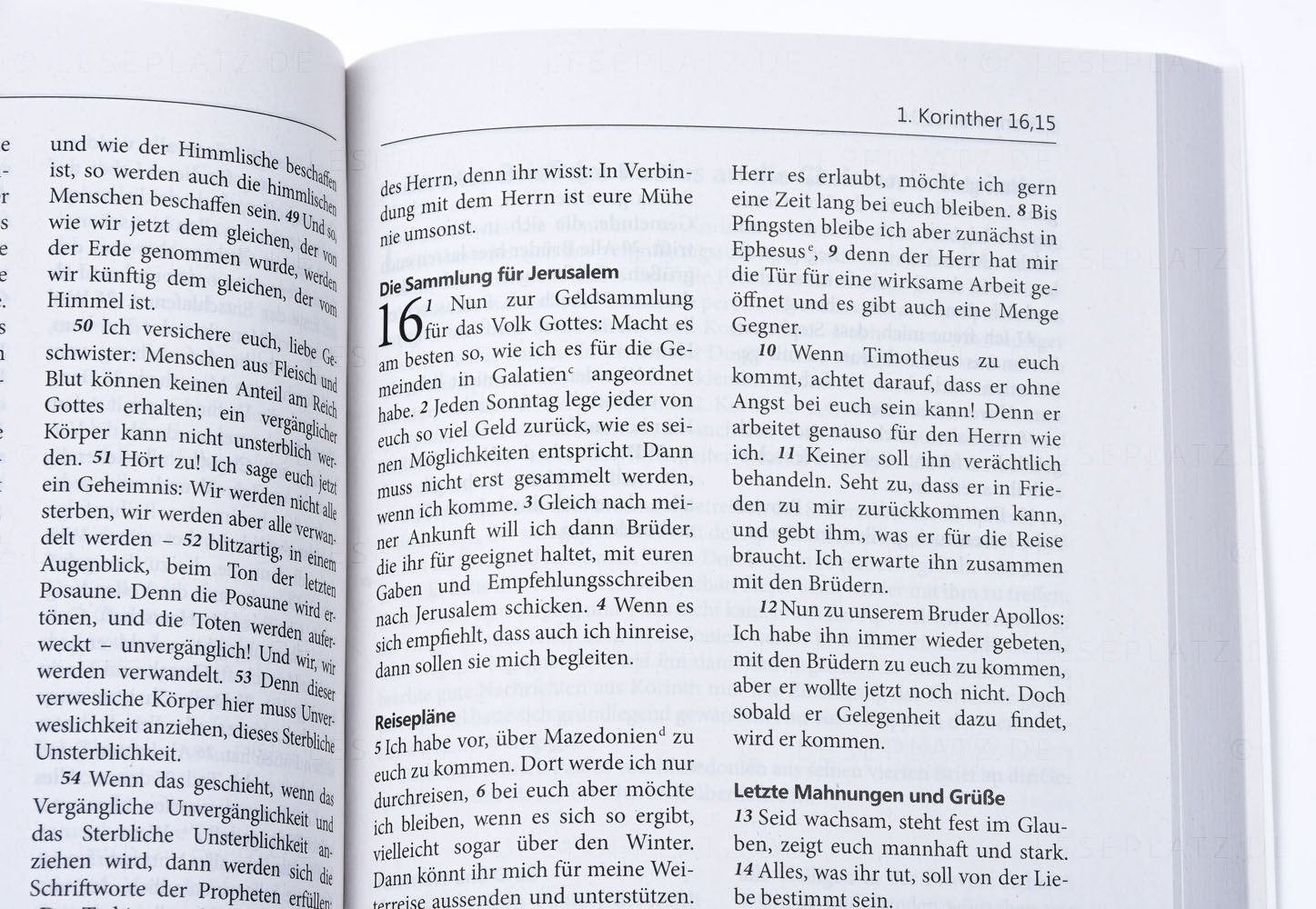 NeÜ - Neues Testament mit Psalmen "Blätter"