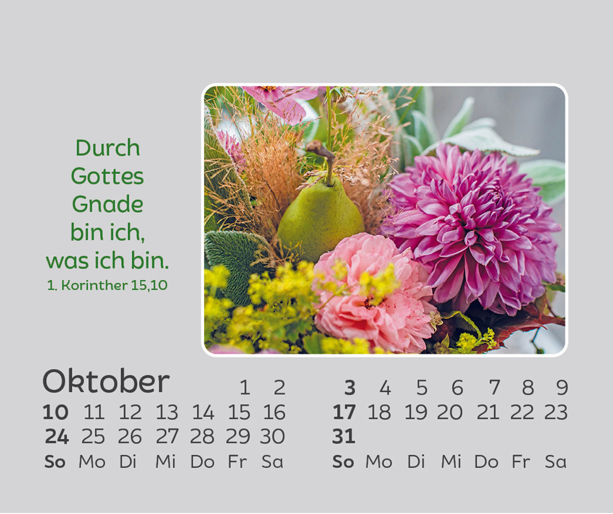 Freude für jeden Tag 2027