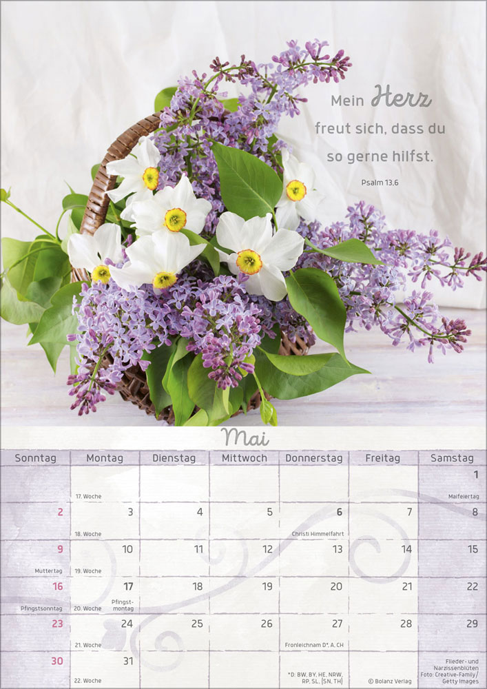 Momente der Freude 2027 - Wandkalender