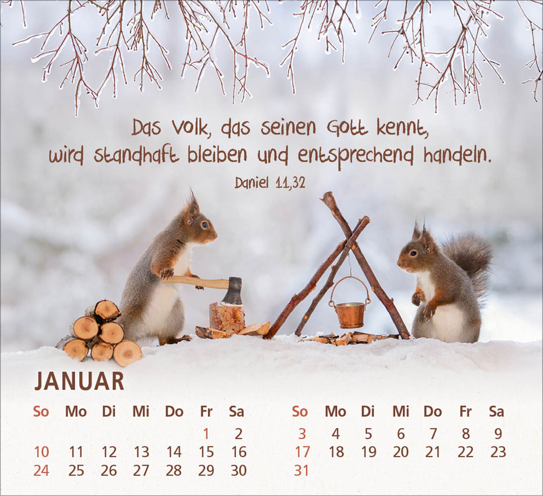 Du bist meine Freude 2027