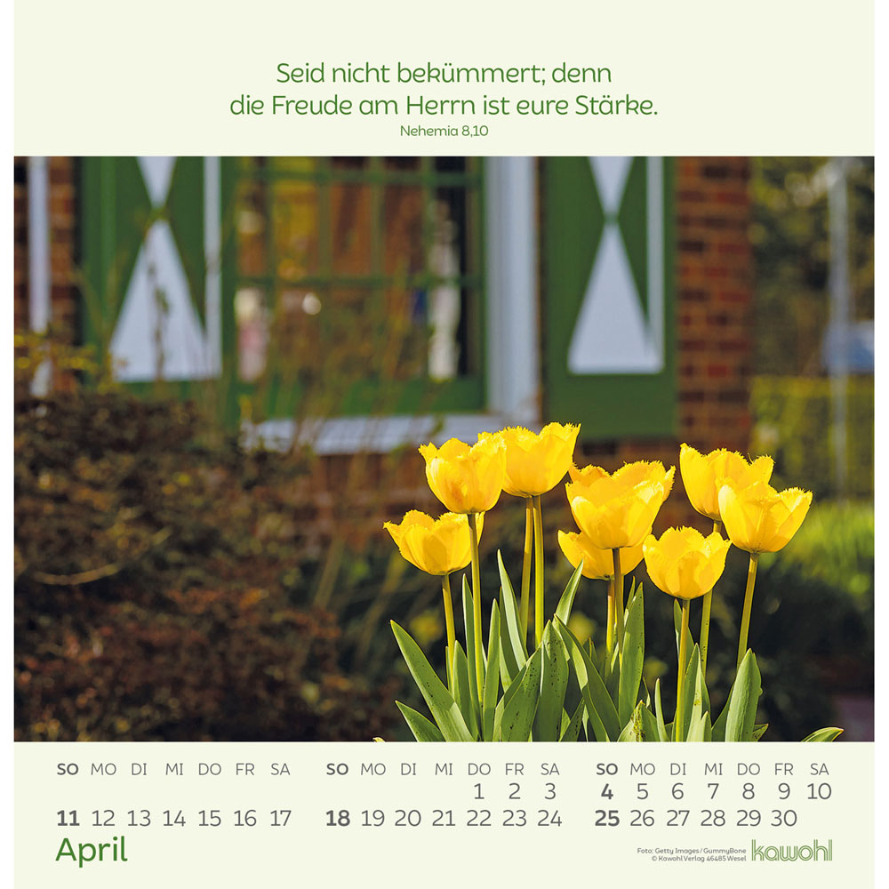 Blumengrüße 2027 - Wandkalender