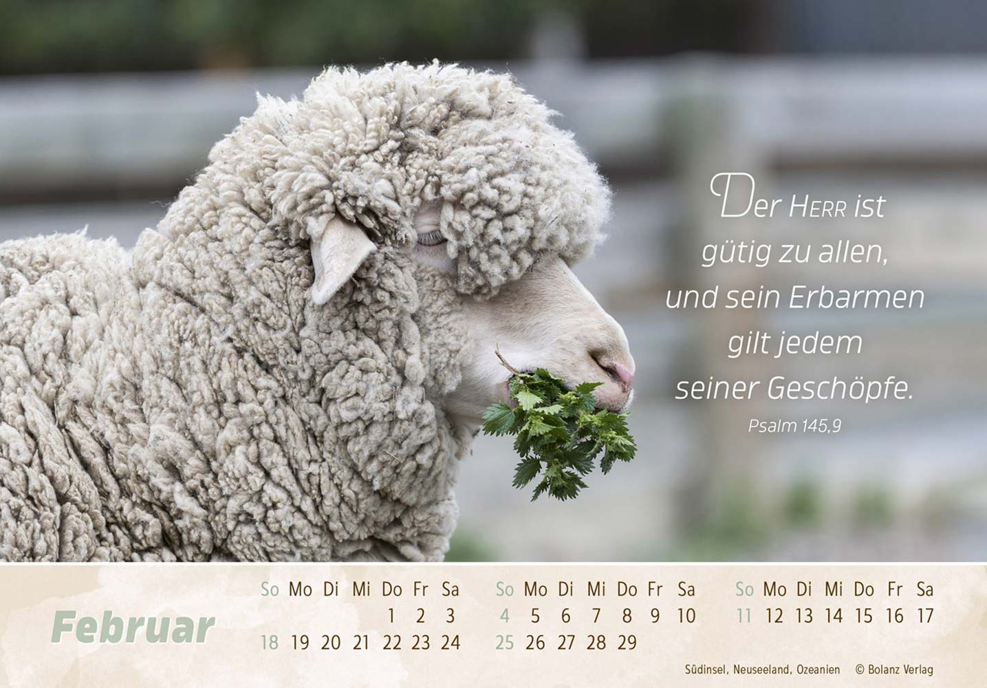 Der Gute Hirte 2024 - Postkartenkalender Der Gute Hirte 2024 - Postkartenkalender