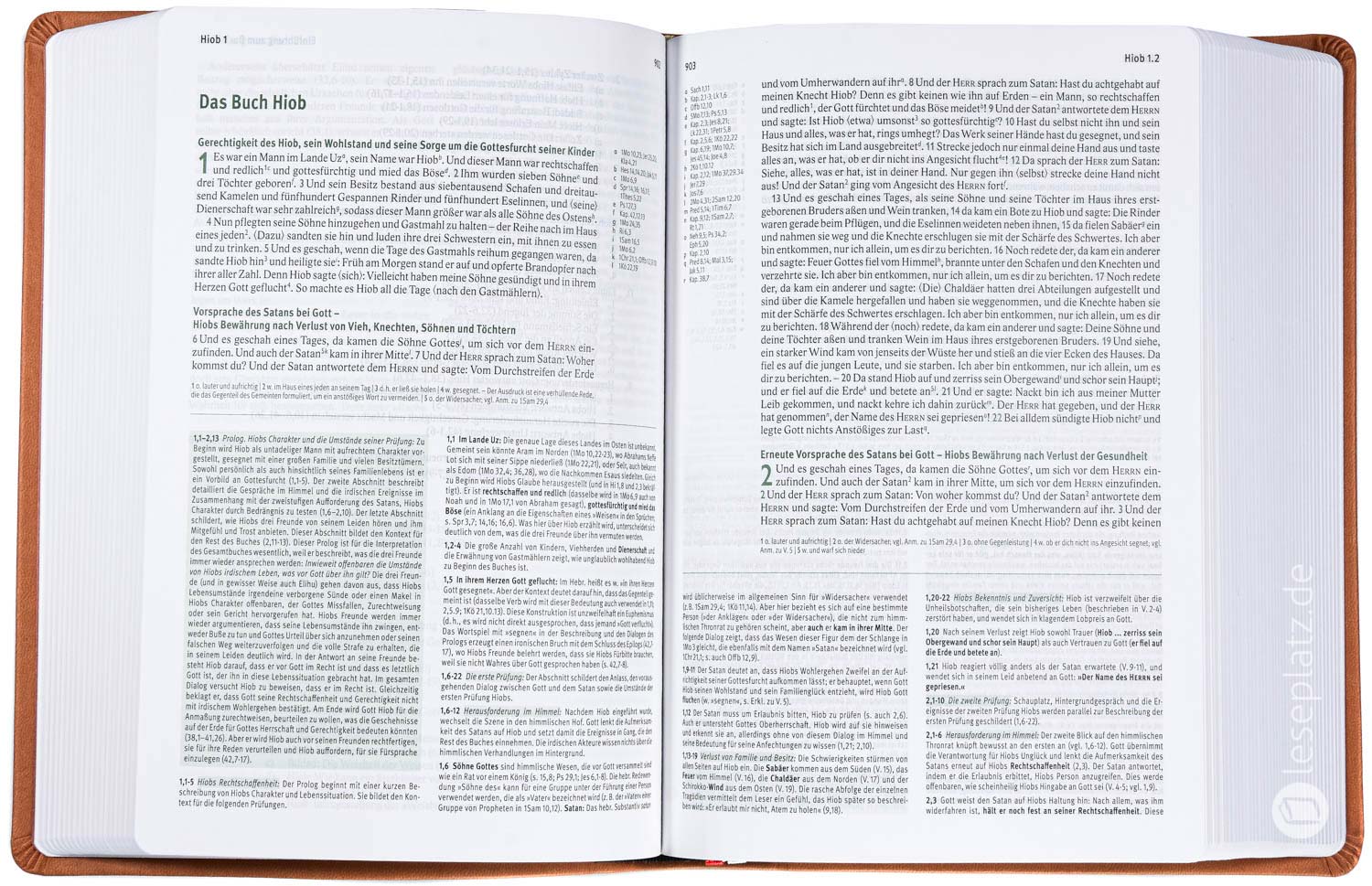 Elberfelder Bibel 2006 Studienausgabe - Kunstleder braun